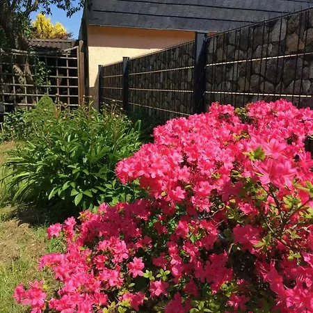 Messe With 2 Bedrooms, Kitchen And Garden Apartmán Düsseldorf